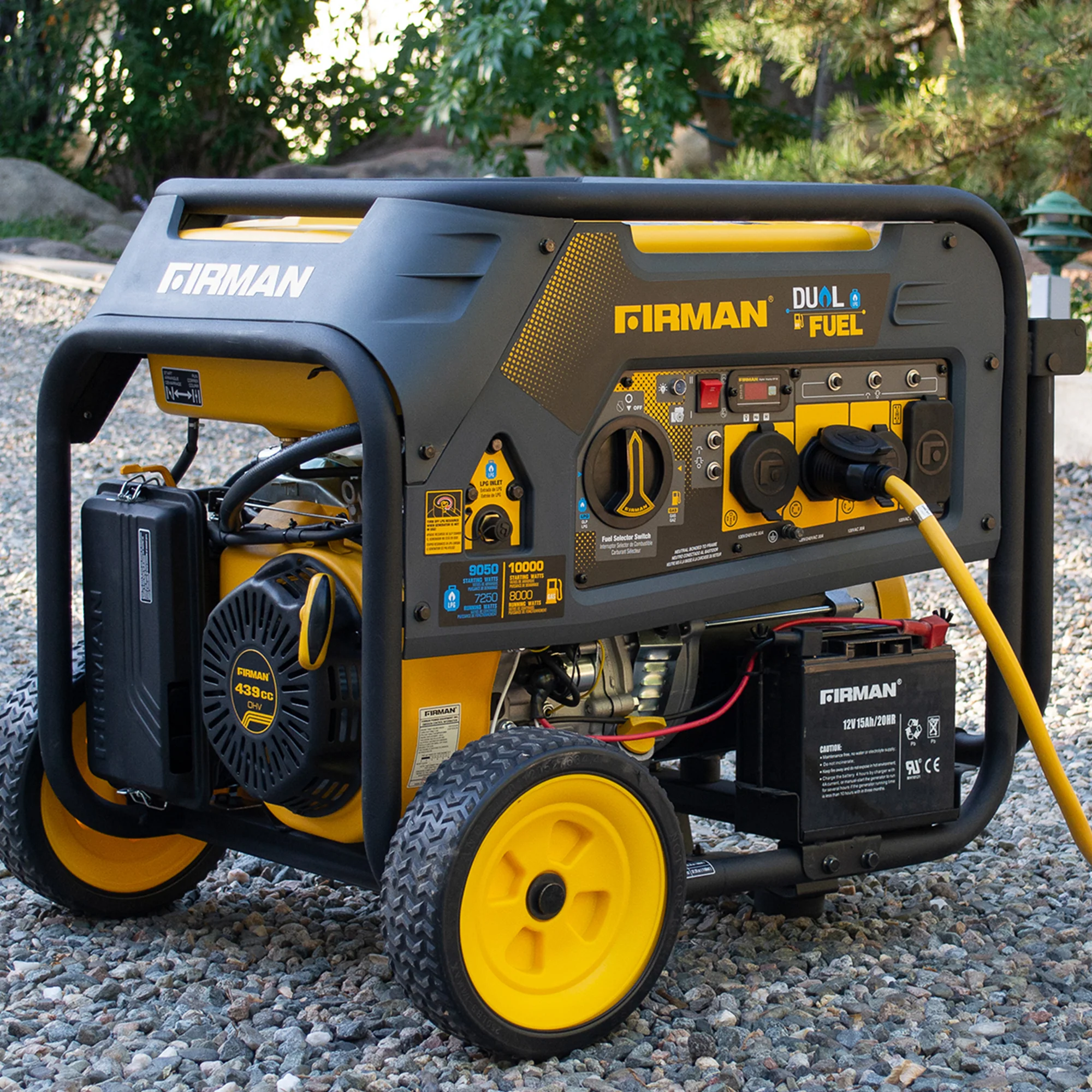Dual Fuel Portable Generator 8000W Electric Start 120/240V - Image 5