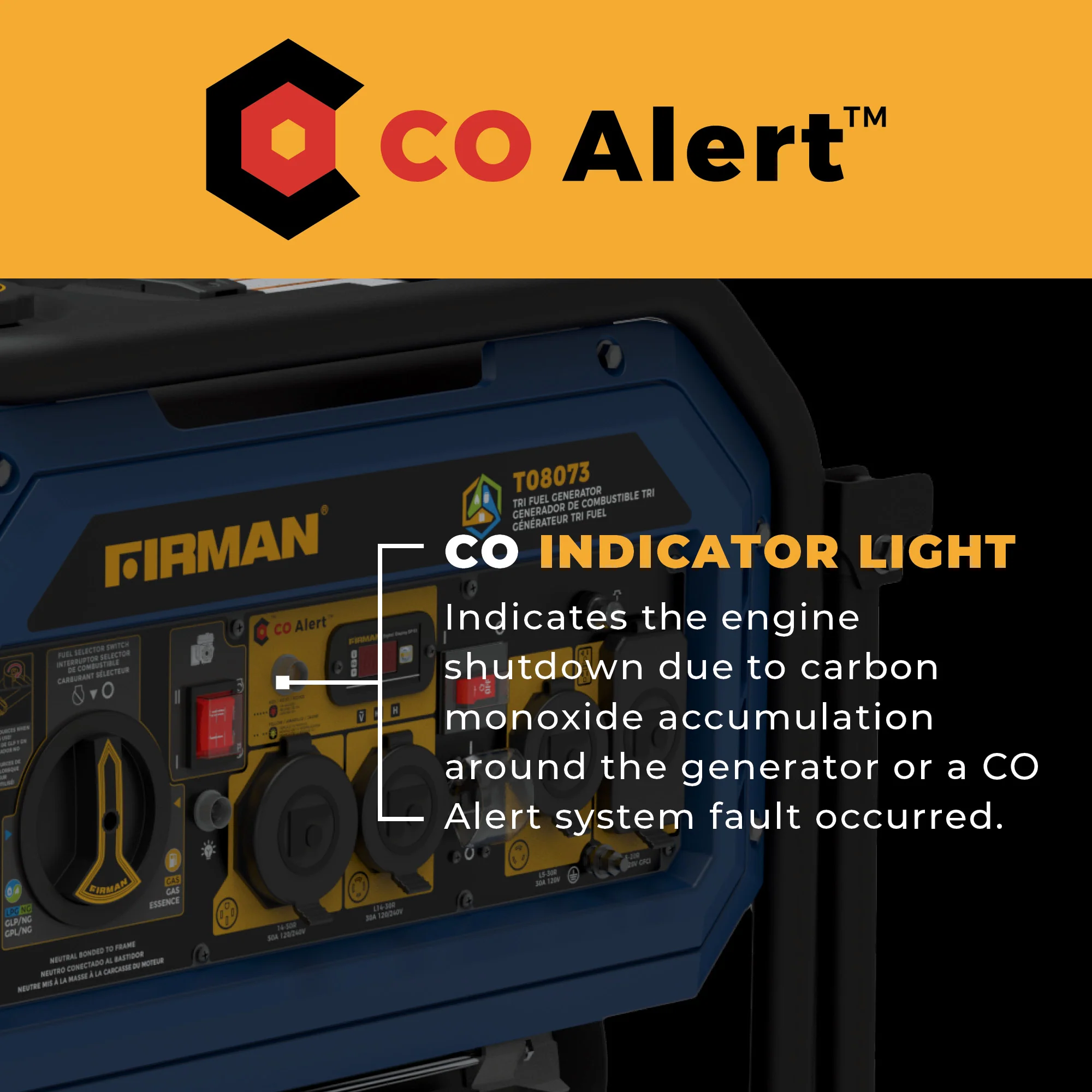 Tri Fuel Portable Generator 10000/8000W Electric Start With CO Alert - Image 6