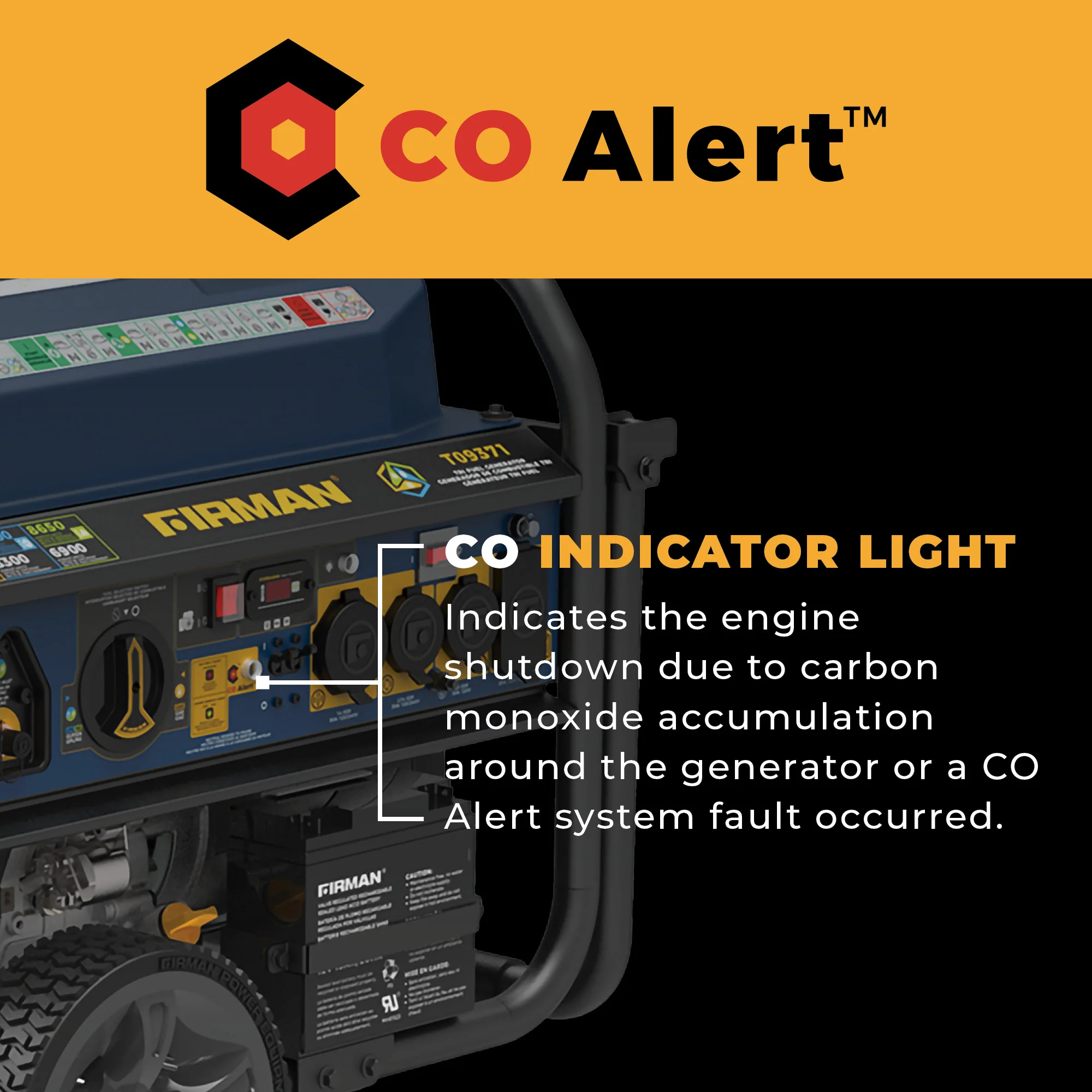 Tri Fuel Portable Generator 11600W Electric Start 120V/240V with CO alert - Image 6